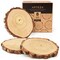 Arteza Large Wood Cutout Slices Art Supply Set for DIY Crafts, Ornaments -8 Pack